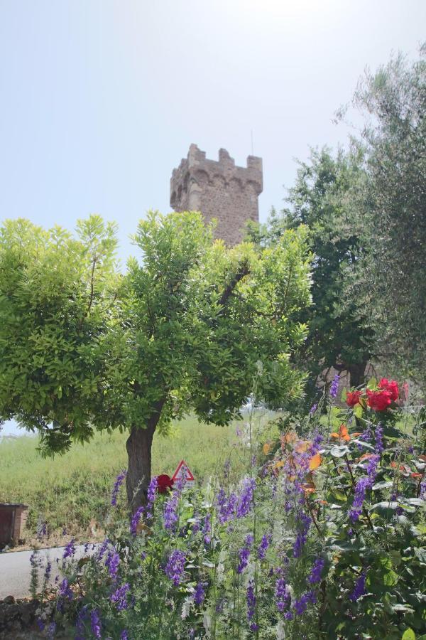 Casa Costa Delle Caserme Montalcino Exteriér fotografie